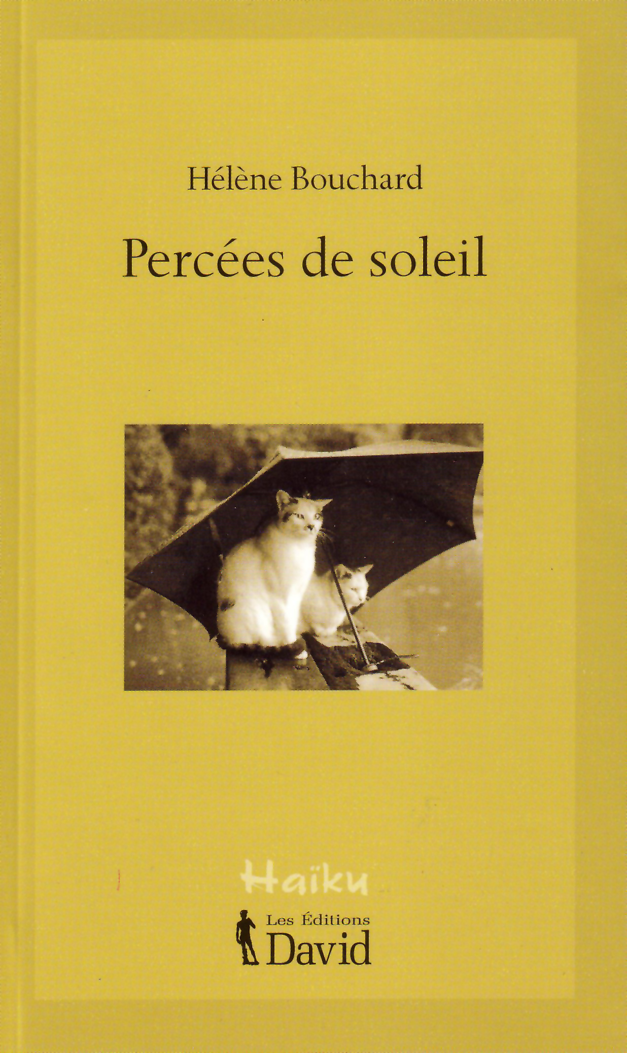 Percées de soleil